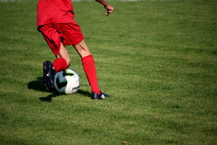 爱游戏体育入口-CBA球队加强后勤保障体系优化训练和比赛准备，cba后备联赛